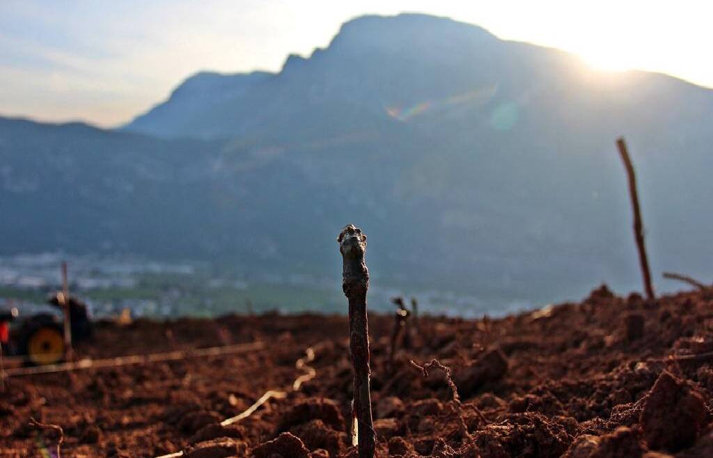 Si fa presto a parlare di agricoltura