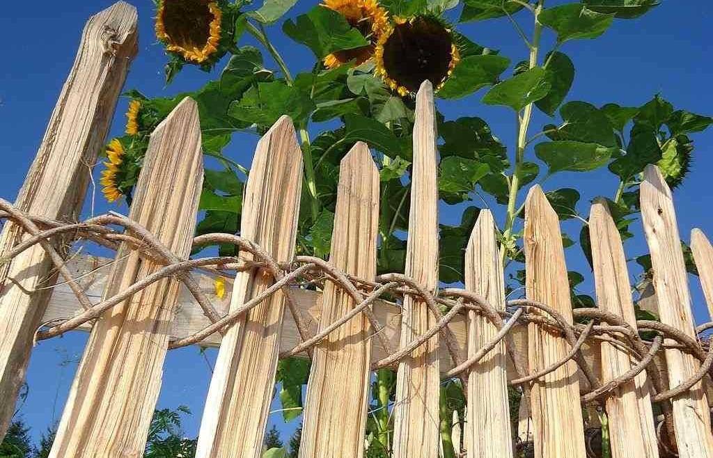 Corso concluso | Corso per la realizzazione di recinzioni tradizionali in legno