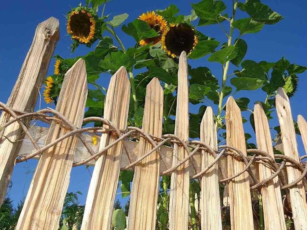 Corso concluso | Corso per la realizzazione di recinzioni tradizionali in legno