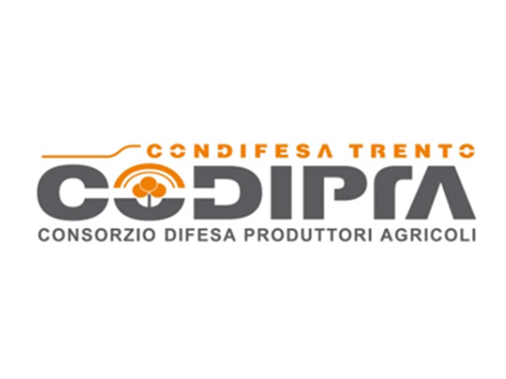 Lettere Co.Di.Pr.A