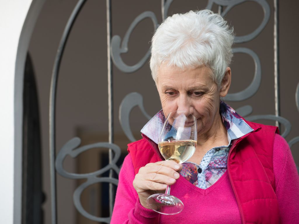 OCM vino “misura investimenti”: Domande di contributo per investimenti vitivinicoli campagna 2025/2026