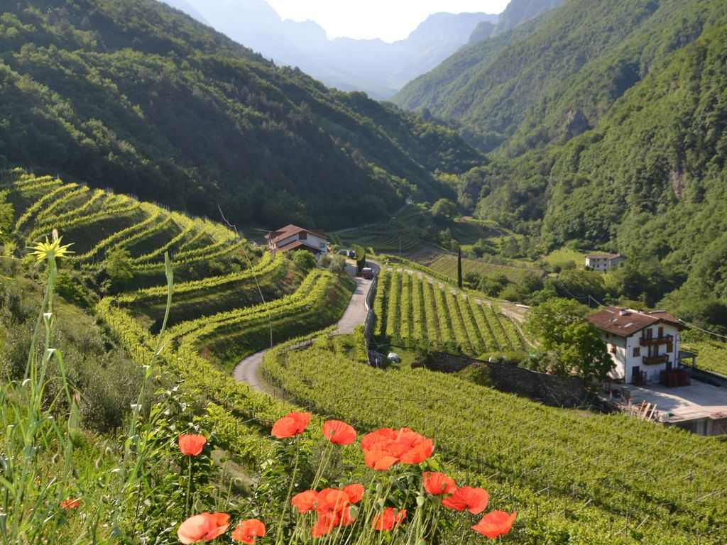 Convegno “Competere per custodire: essere impresa agricola al tempo della post-modernità”