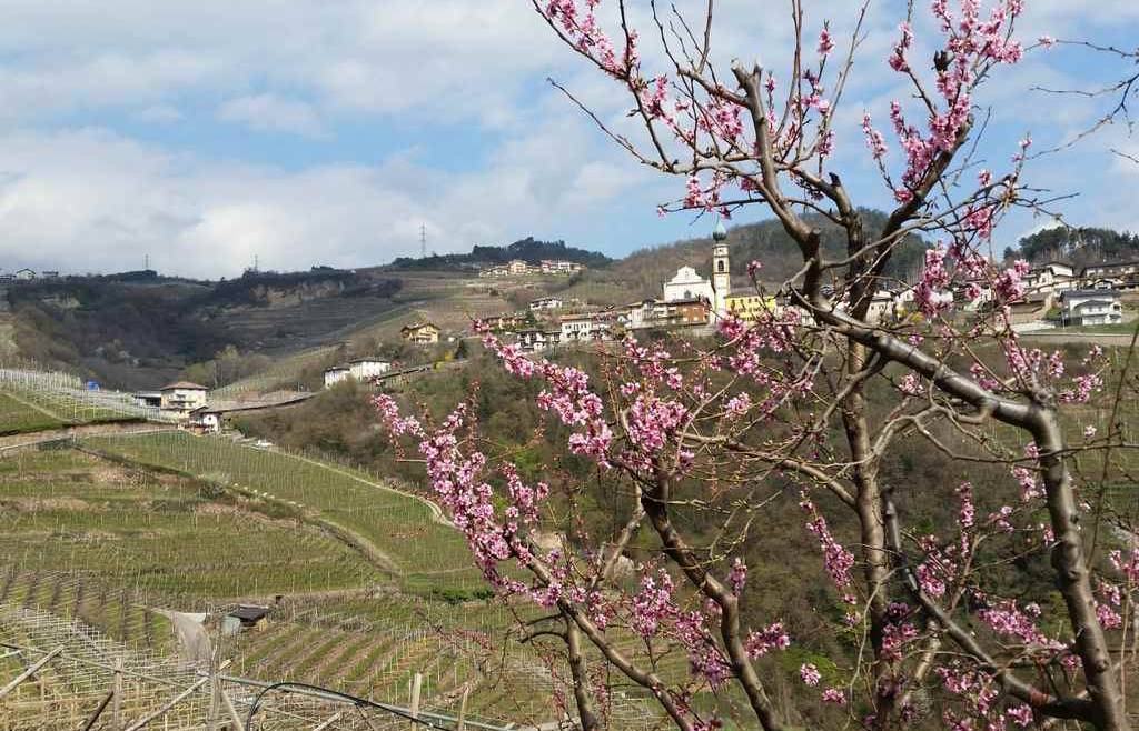 Prorogato al 15 giugno | Domande I e II pilastro 2018