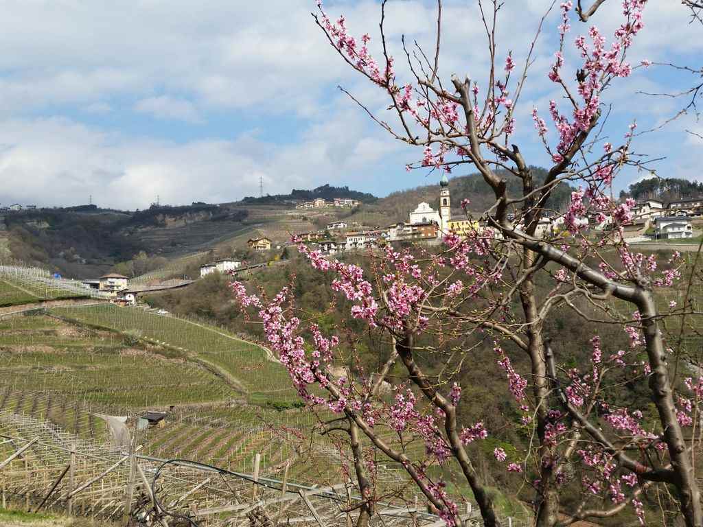 Prorogato al 15 giugno | Domande I e II pilastro 2018