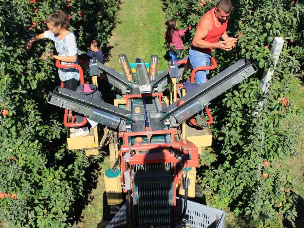 Novità per i pagamenti degli stipendi