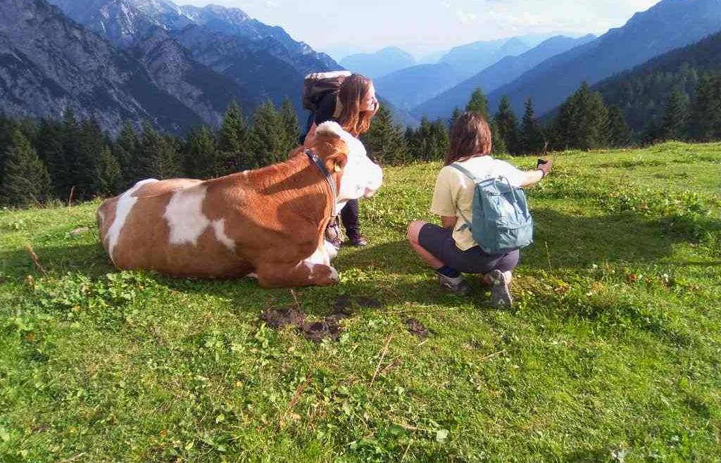 Voglia di scampagnata? Vieni nelle fattorie delle Donne in Campo