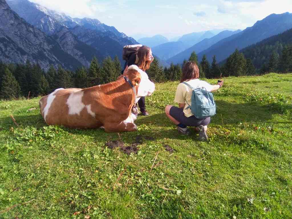 Voglia di scampagnata? Vieni nelle fattorie delle Donne in Campo