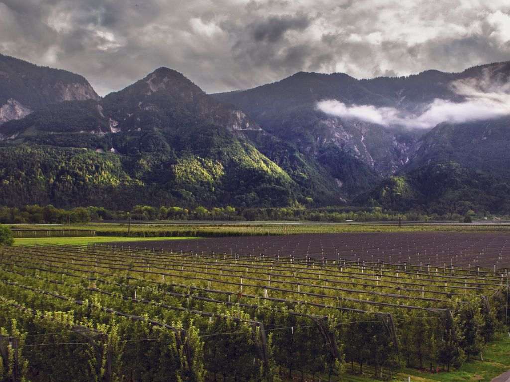Determinazione del coefficiente di adeguamento dei canoni di affitto dei terreni agricoli