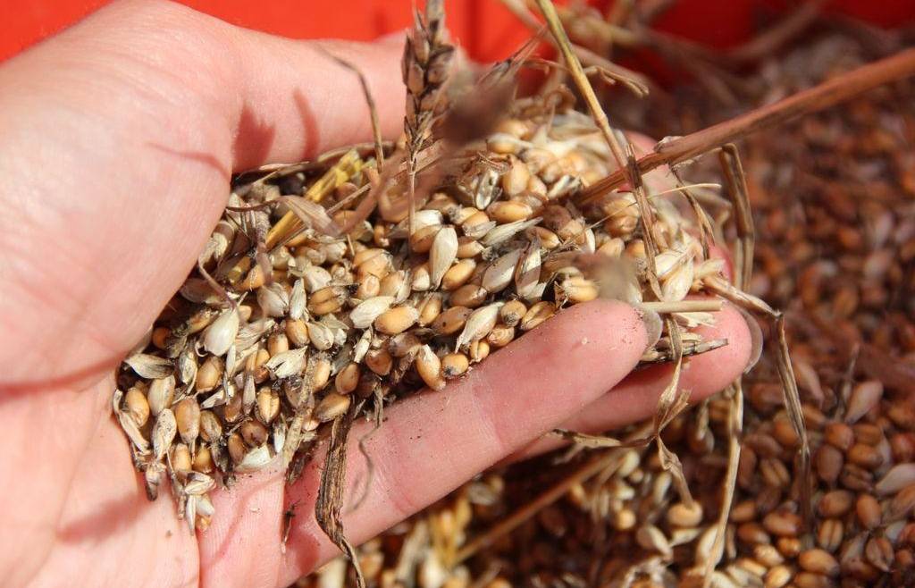 Calendario aggiornato | Percorso formativo “10 idee per diversificare le produzioni, integrare il reddito, recuperare un terreno agricolo”