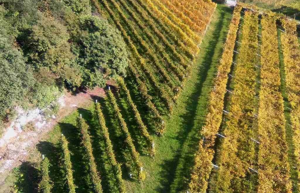 Aperto il bando per le agevolazioni per la conservazione e la sistemazione del paesaggio rurale