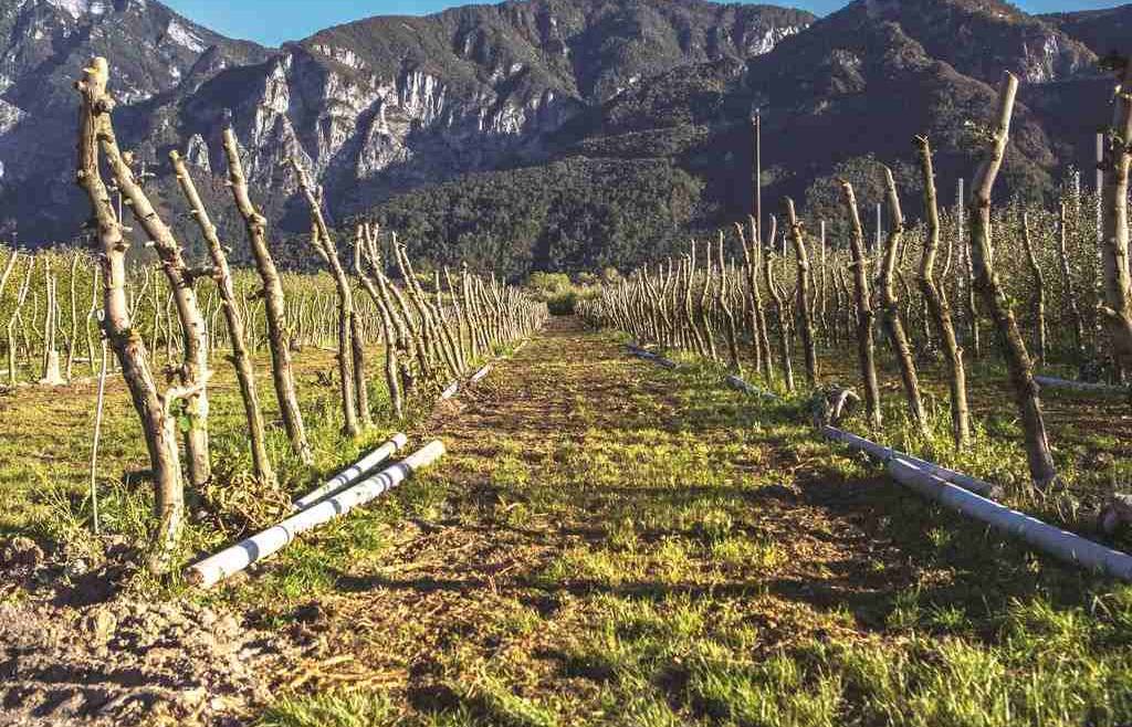 La gestione dei materiali esausti in agricoltura