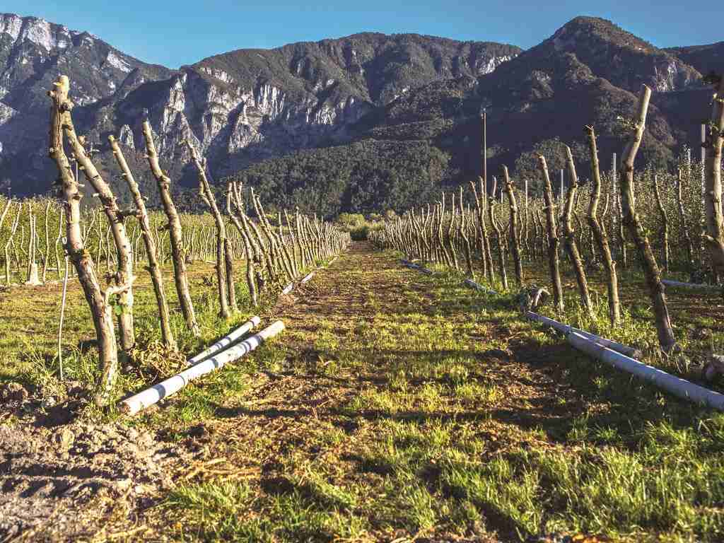 La gestione dei materiali esausti in agricoltura