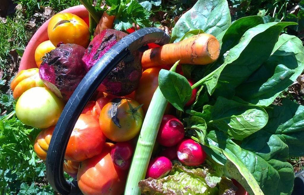 Controlli aziende agricole
