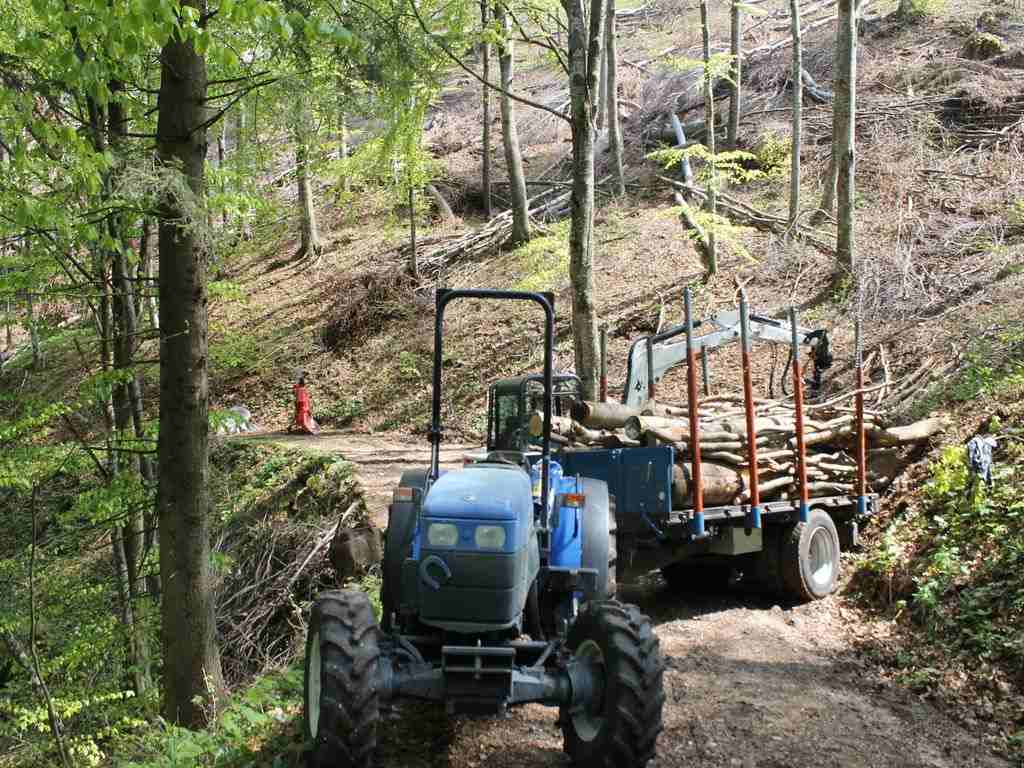PSR forestale mis 8.6.1 Sostegno agli investimenti per l’acquisto di mezzi ed attrezzature forestali – bando 2023