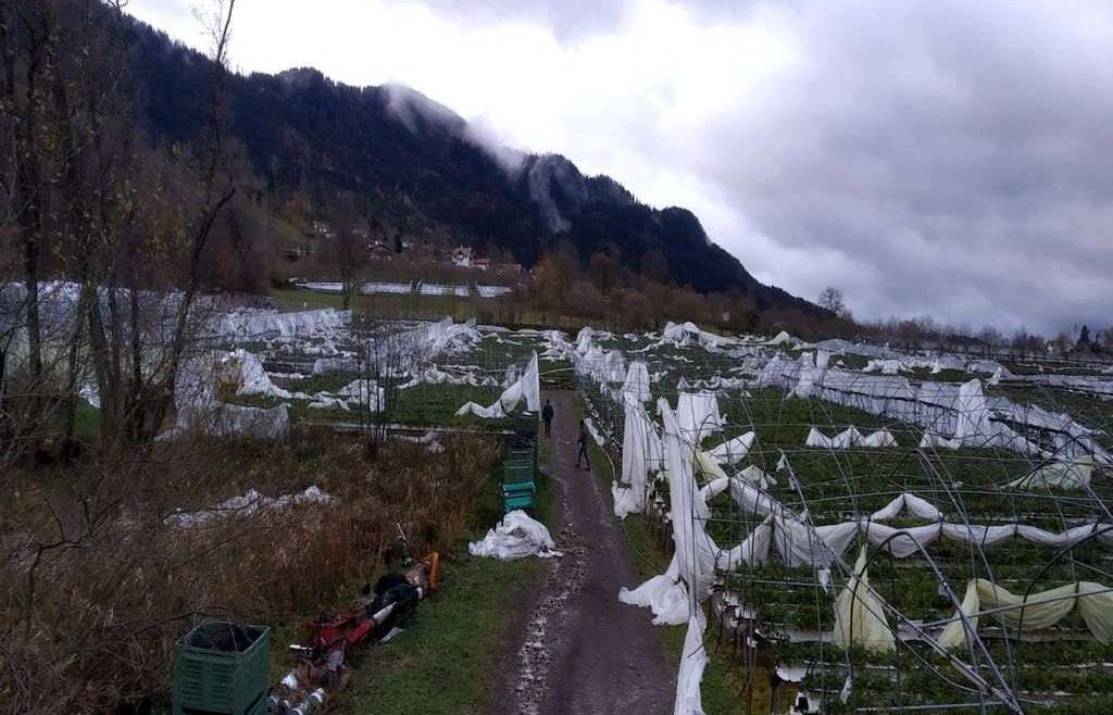 Danni da maltempo