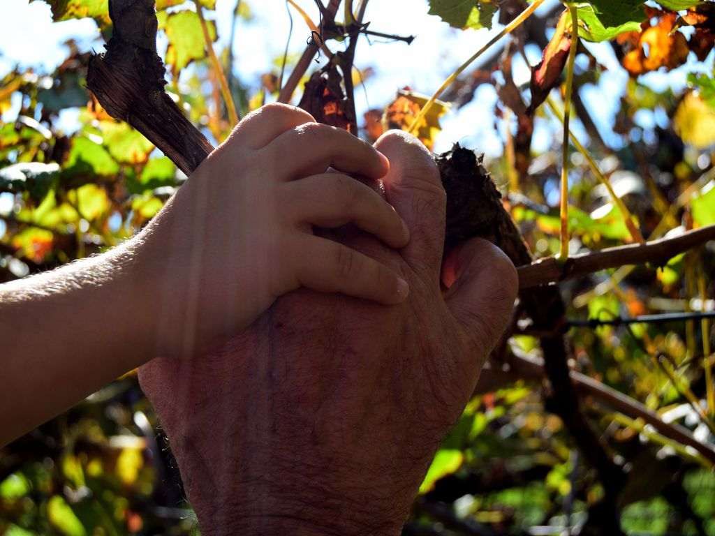 Bio-logicA – Trento, 16-17 marzo 2024
