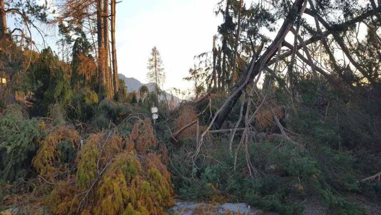 Piano Mirato di Prevenzione sui rischi del settore forestale: incontri sul territorio