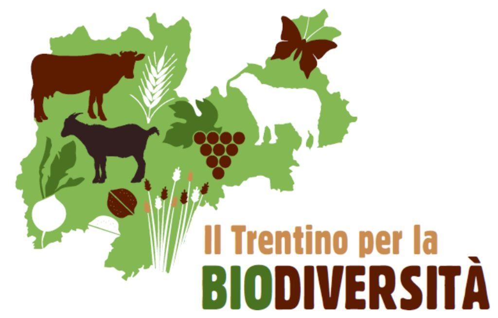 “Le giornate della Biodiversità 2019” – Mercato di produttori agricoli sabato 18 maggio