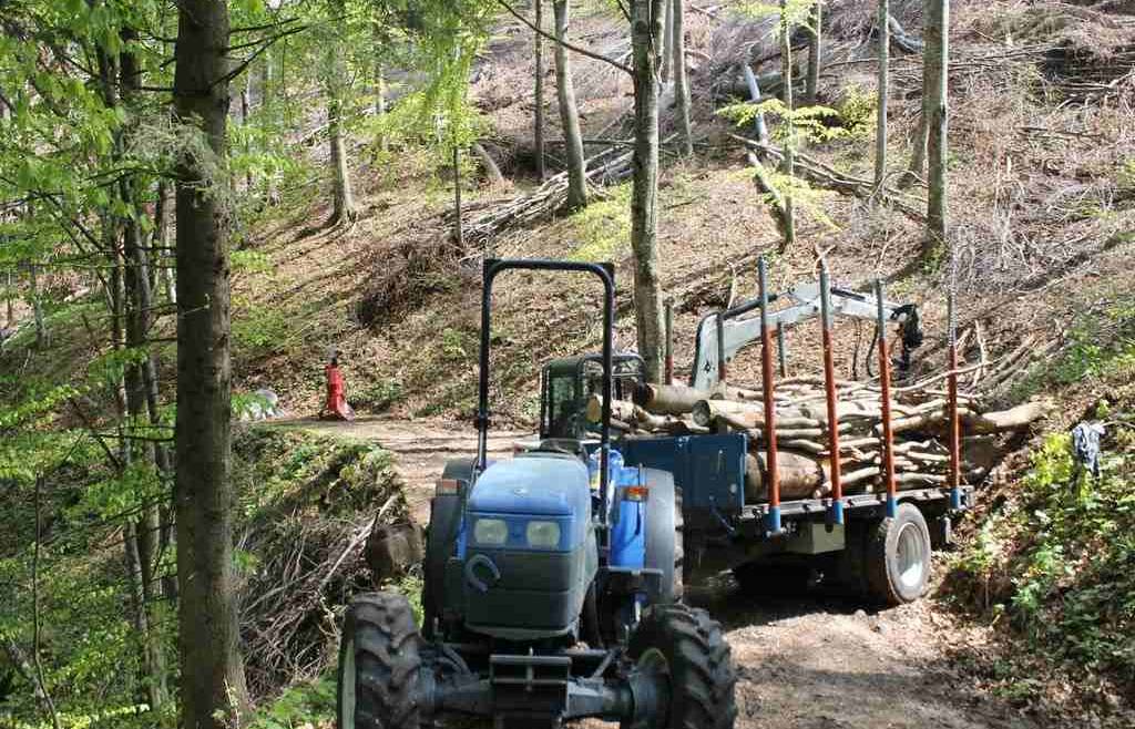 PSR: misure forestali
