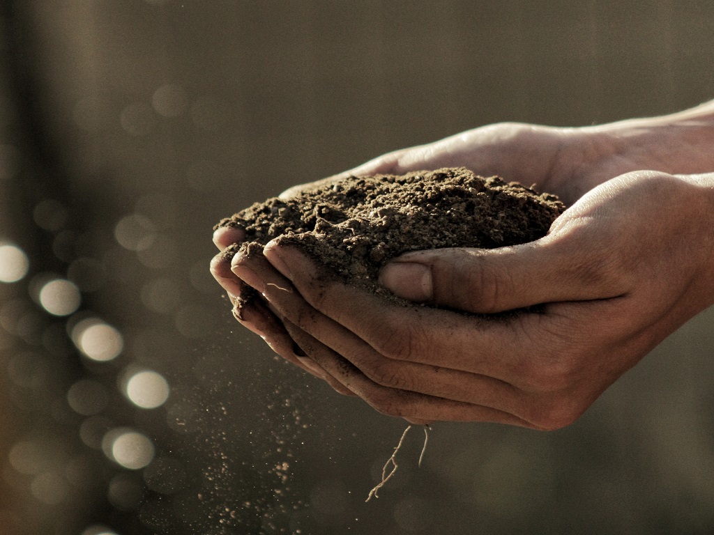Contributi ISMEA imprenditorialità giovanile in agricoltura