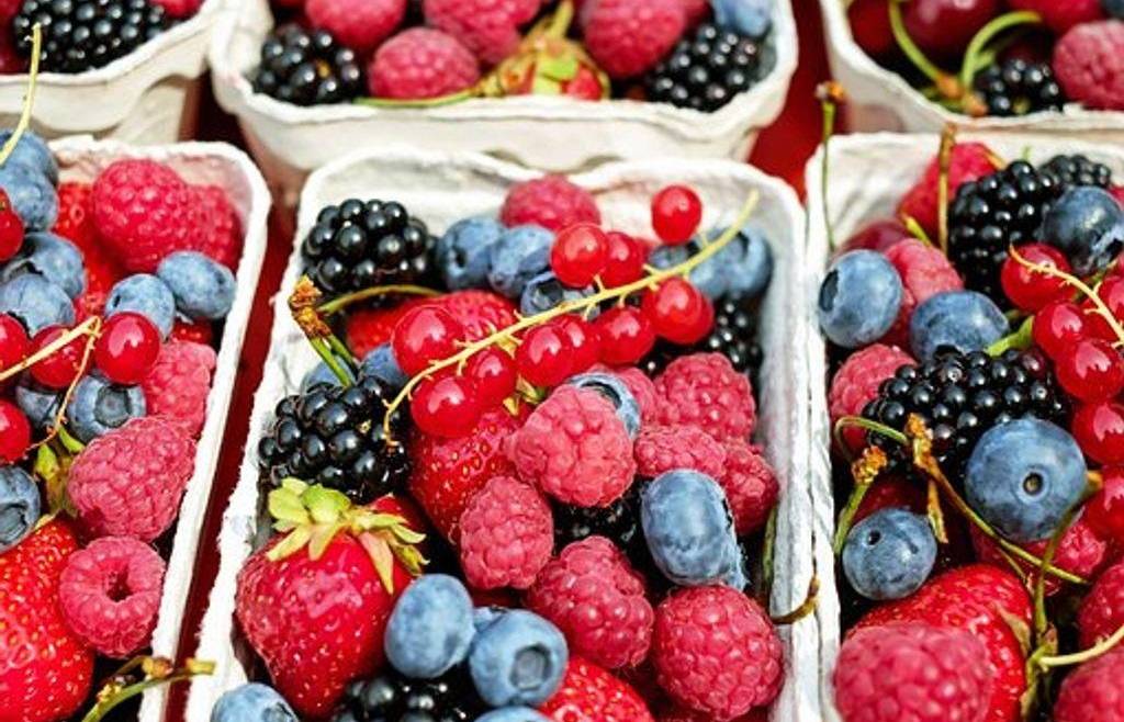 Produzione italiana ed internazionale dei piccoli frutti ed evoluzione del mercato.