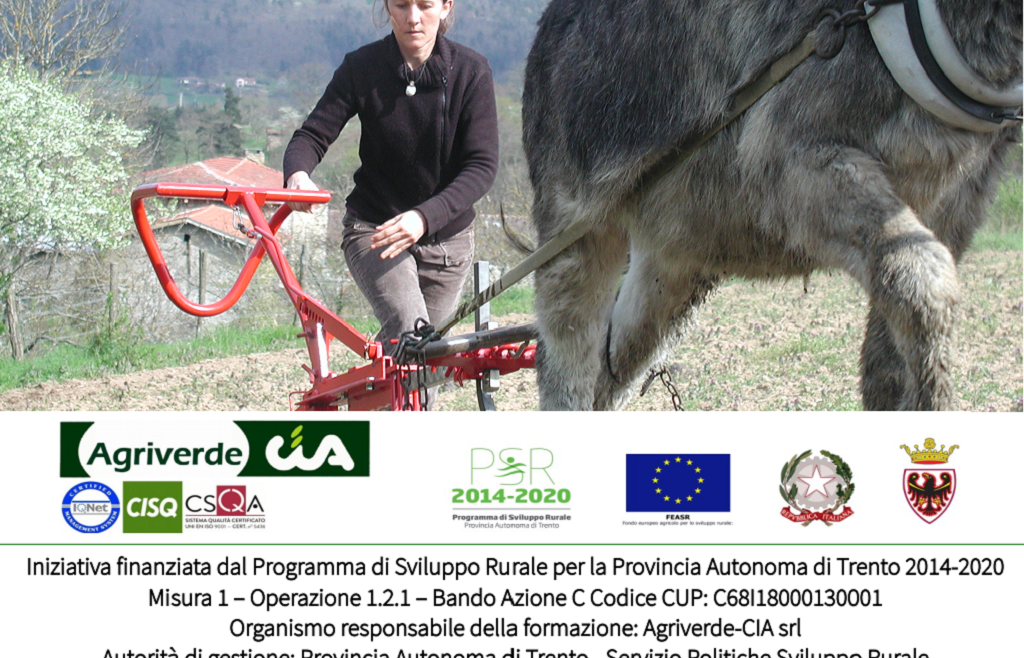 corso Animali da lavoro | iscrizioni entro 17/02