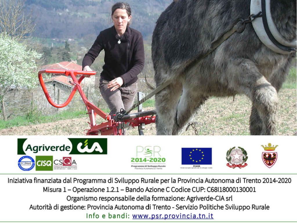 corso utilizzo degli animali da lavoro nell’agricoltura di montagna