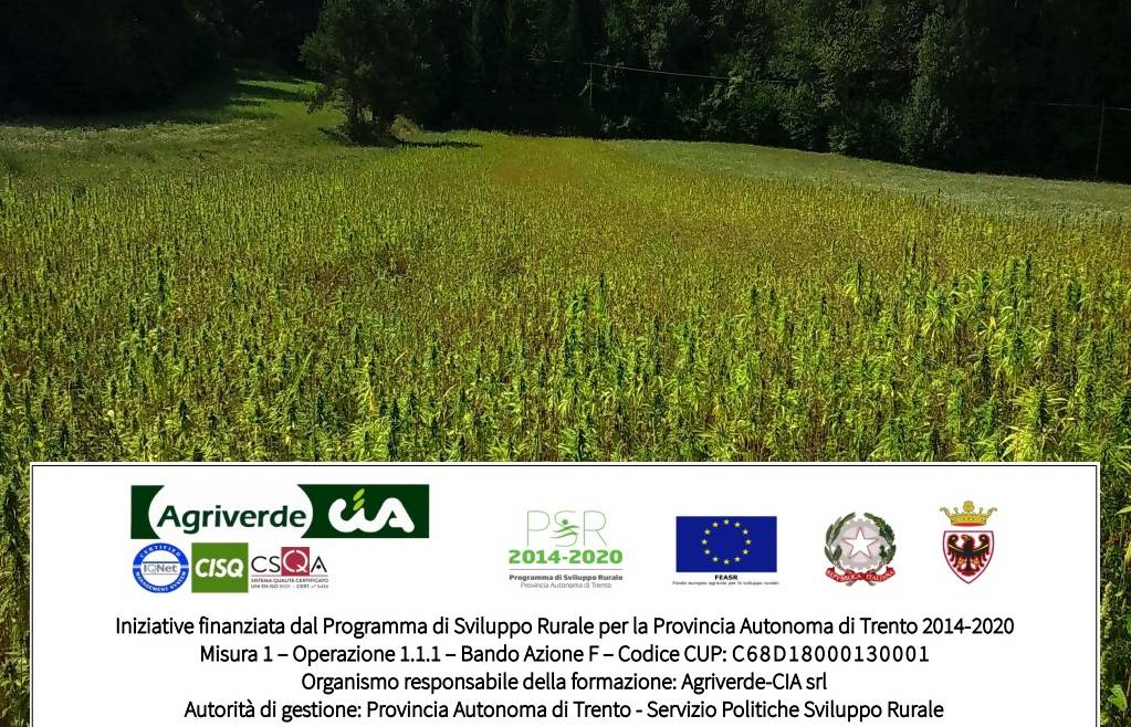 workshop Canapicoltura Trentina | iscrizioni entro 20/12
