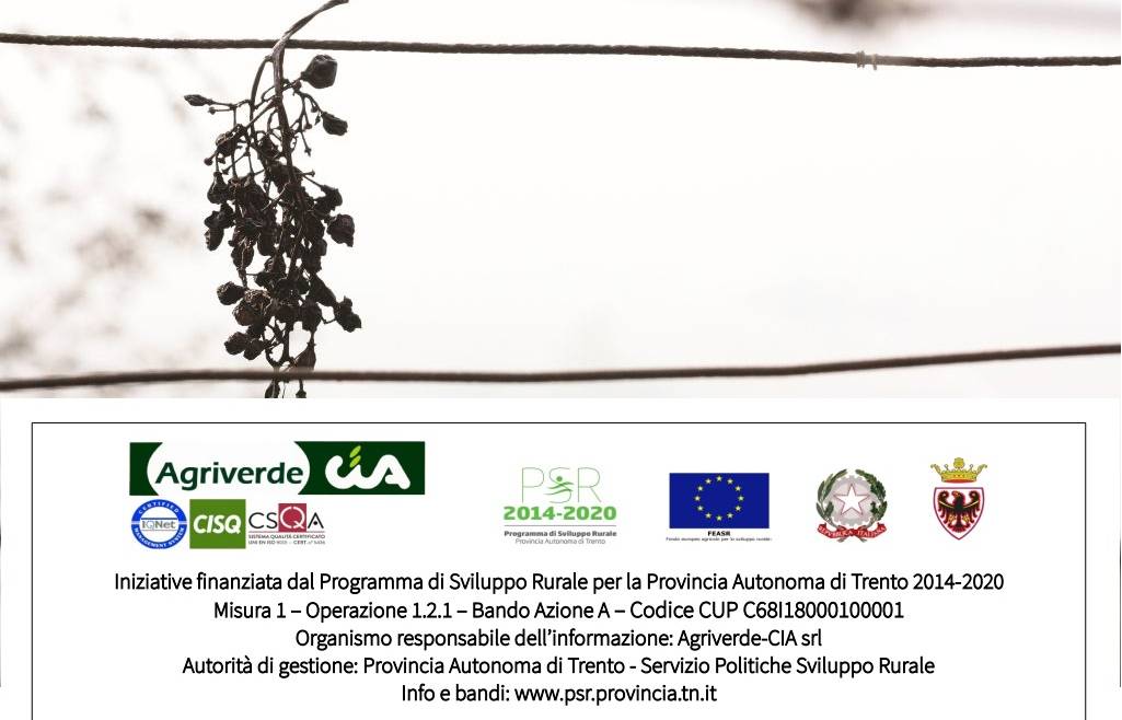 Incontri Inquadramento IVA operazioni agricole alla luce della fatturazione elettronica  | iscrizioni entro 20/12