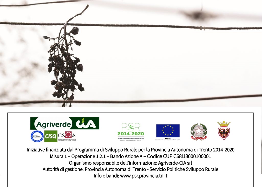Incontri Inquadramento IVA operazioni agricole alla luce della fatturazione elettronica  | iscrizioni entro 20/12