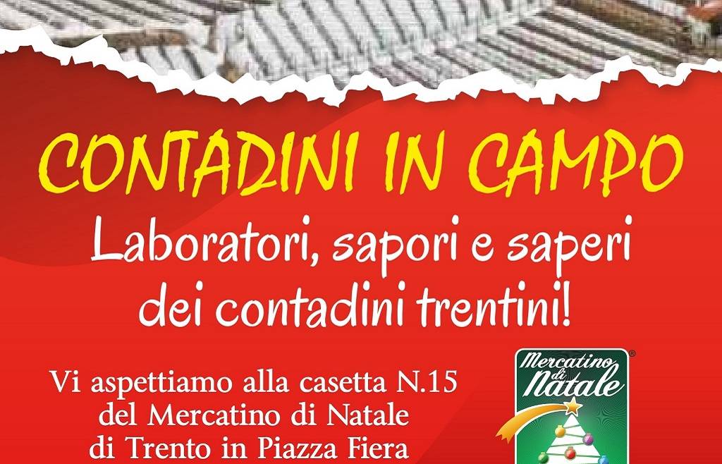 Siamo “in campo” al mercatino di Natale di Trento