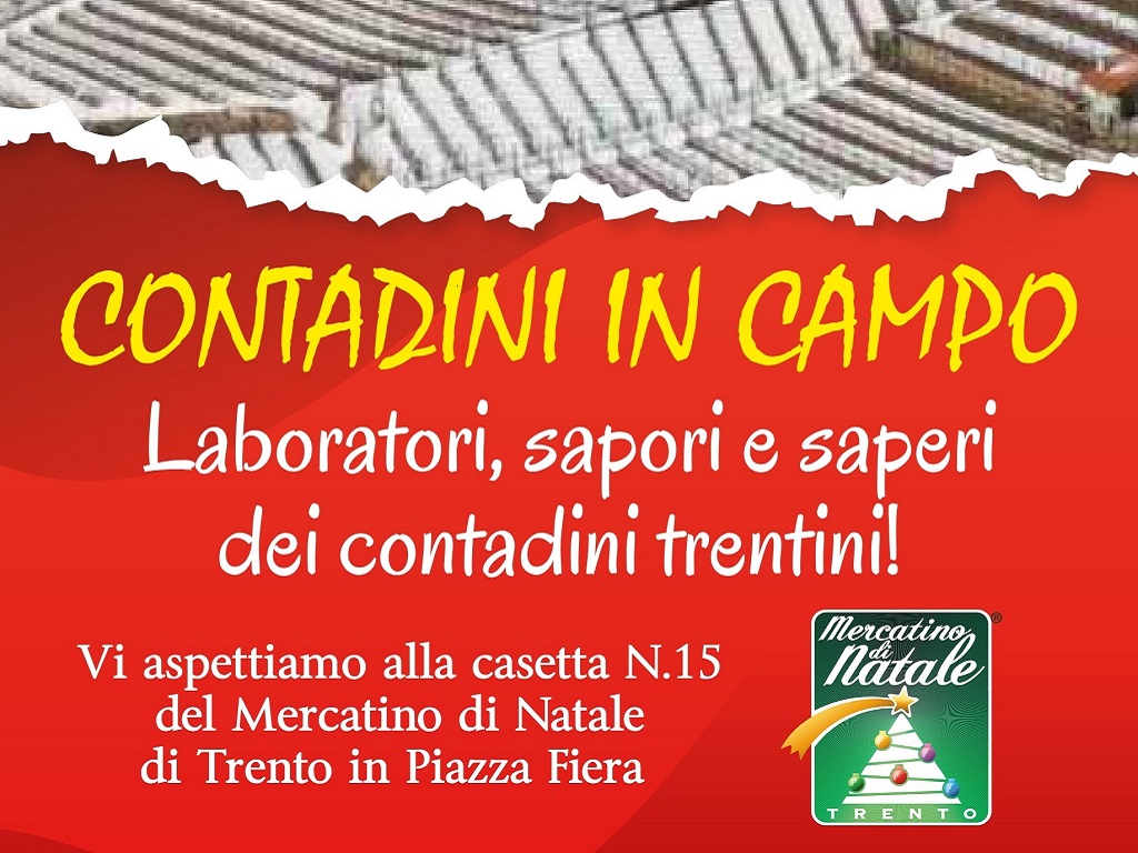 Siamo “in campo” al mercatino di Natale di Trento