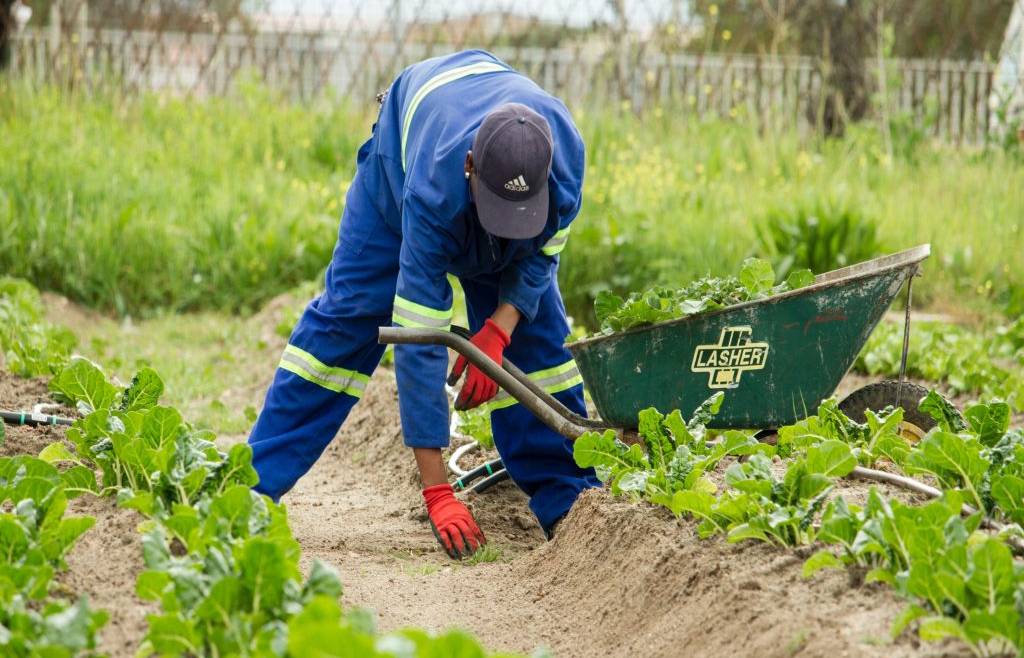 Formazione in materia di sicurezza per lavoratori