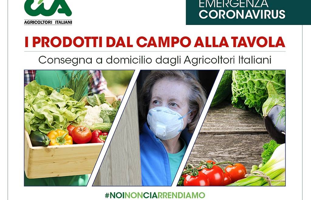 Progetto “I prodotti dal campo alla tavola”