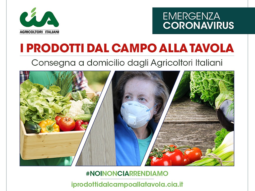 Progetto “I prodotti dal campo alla tavola”