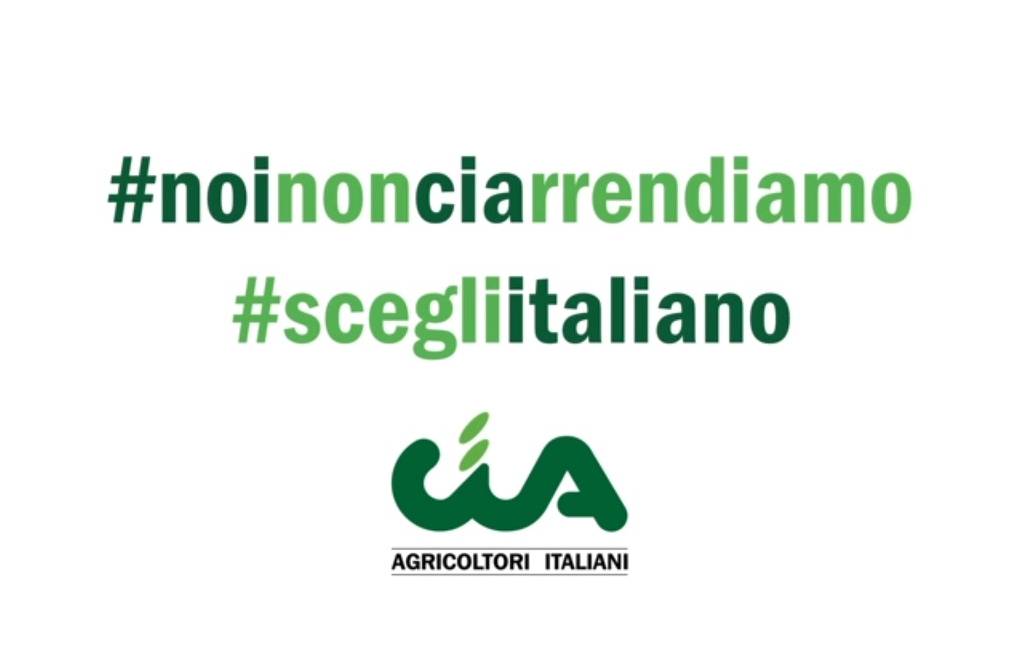 #NoinonCIArrendiamo