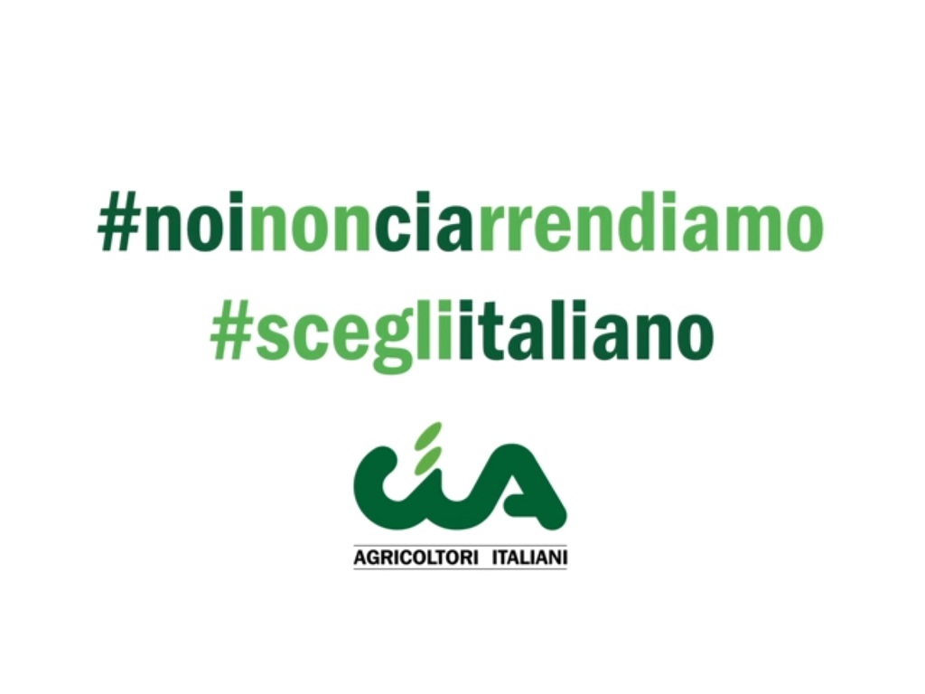 #NoinonCIArrendiamo