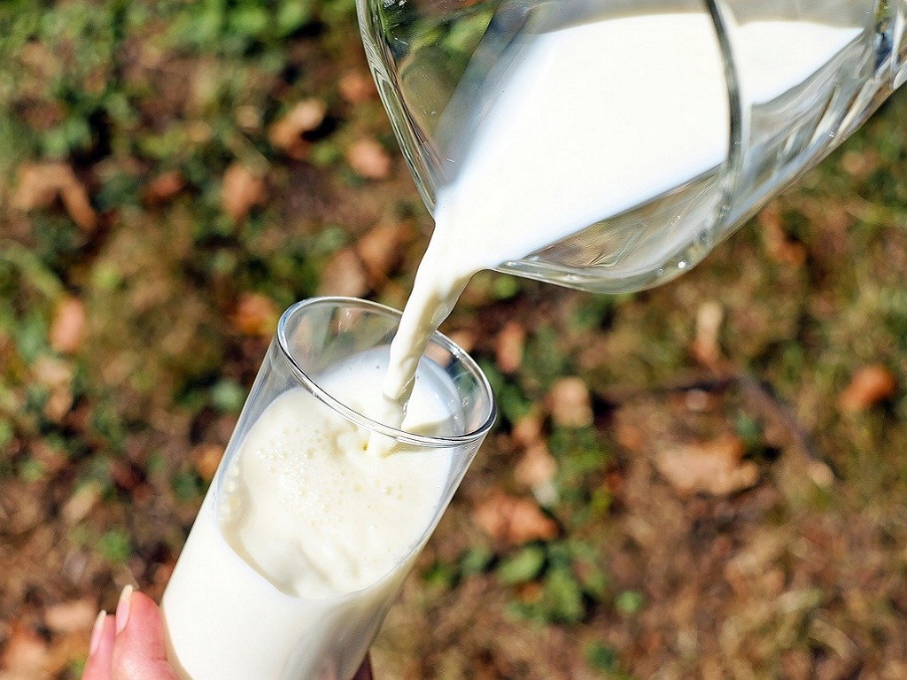 Dichiarazioni di vendita latte e prodotti lattiero caseari, dei piccoli produttori bovini e ovicaprini