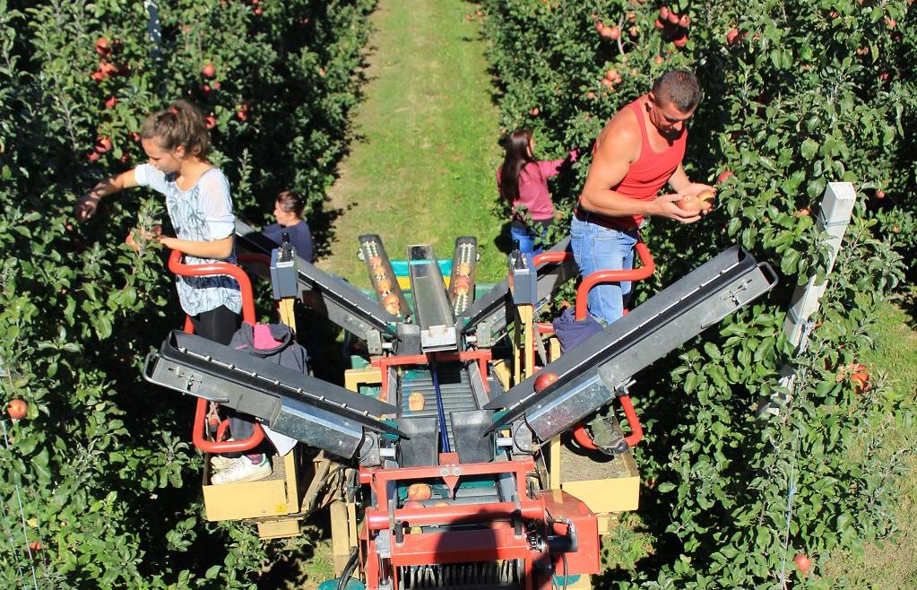 CORSO ABILITANTE PLE – PIATTAFORME DI LAVORO ELEVABILI CON UTILIZZO SPECIFICO DEL CARRO RACCOLTA  SENZA STABILIZZATORI – NEO CONDUTTORI