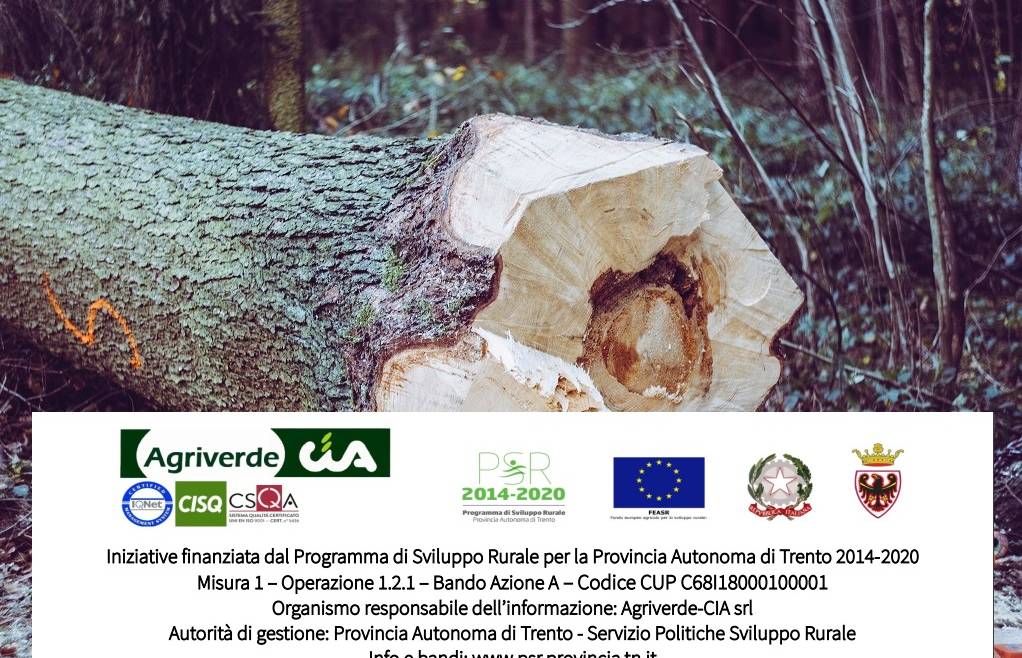 CORSO “UTILIZZO IN SICUREZZA DELLA MOTOSEGA E TECNICHE DI ABBATTIMENTO”