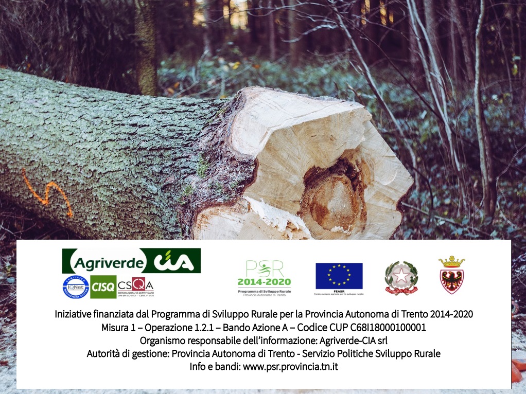 CORSO “UTILIZZO IN SICUREZZA DELLA MOTOSEGA E TECNICHE DI ABBATTIMENTO”