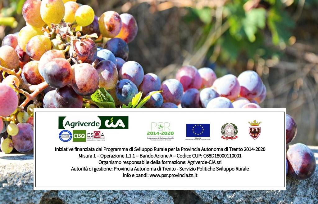 corso di approfondimento sulla Viticoltura Biodinamica