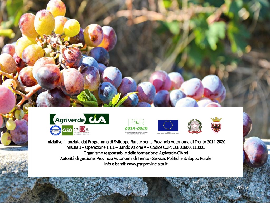 corso di approfondimento sulla Viticoltura Biodinamica