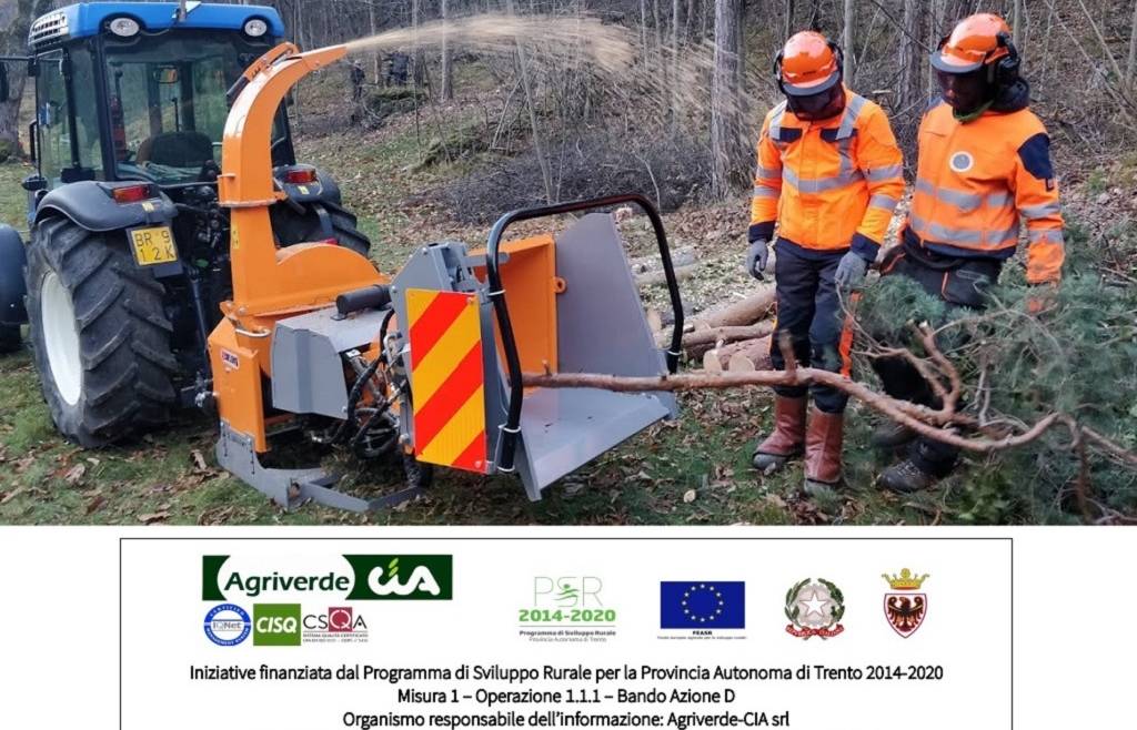 UTILIZZO DI MACCHINARI PER LA GESTIONE DEL BOSCO. TECNICHE DI ABBATTIMENTO E GESTIONE DEL LEGNAME