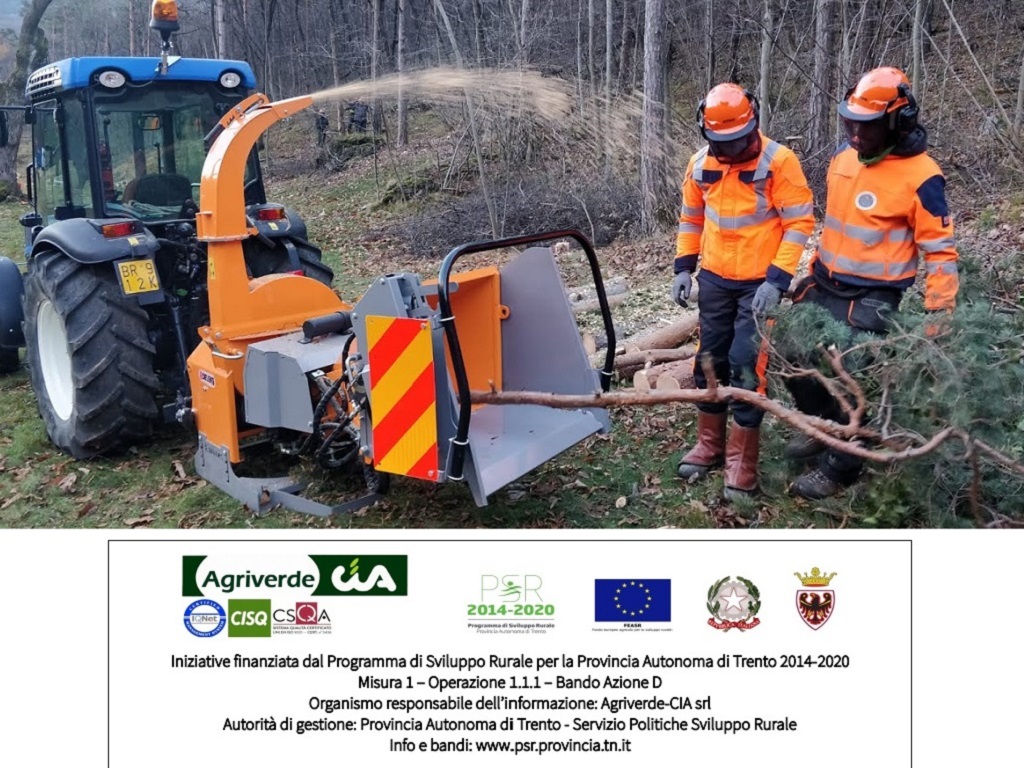 UTILIZZO DI MACCHINARI PER LA GESTIONE DEL BOSCO. TECNICHE DI ABBATTIMENTO E GESTIONE DEL LEGNAME