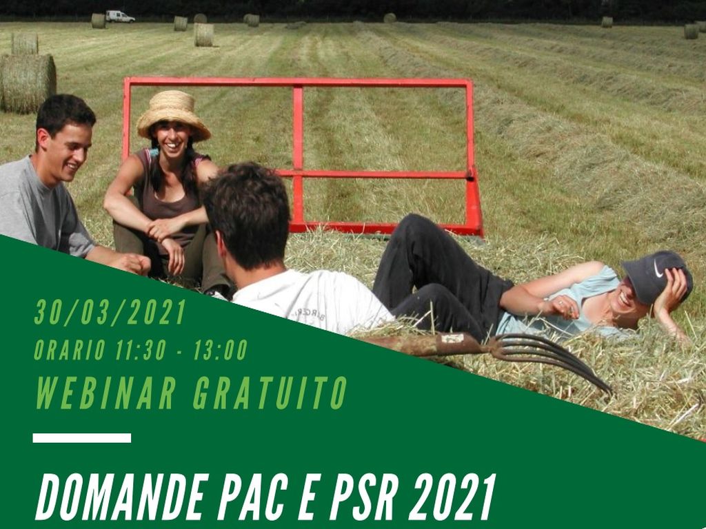 Webinar gratuito DOMANDE PAC E PSR 2021