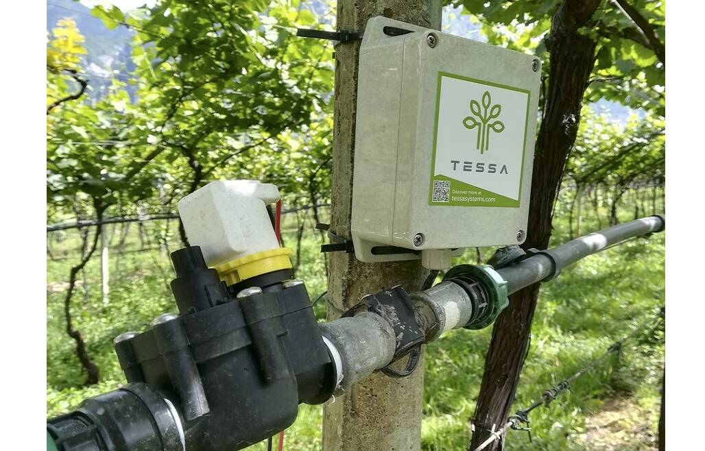 L’innovazione a supporto dell’incentivazione alla sostenibilità in agricoltura