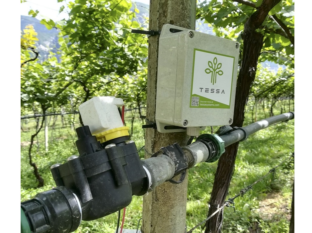 L’innovazione a supporto dell’incentivazione alla sostenibilità in agricoltura