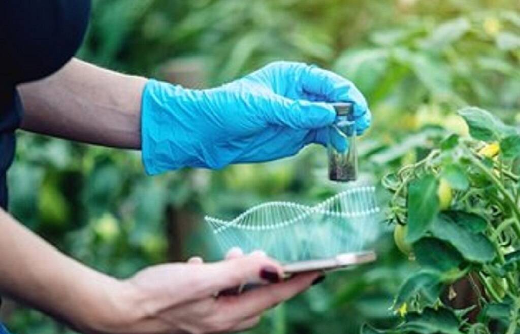 Ogm: Cia, bene apertura Ue a genome editing indispensabile per transizione green