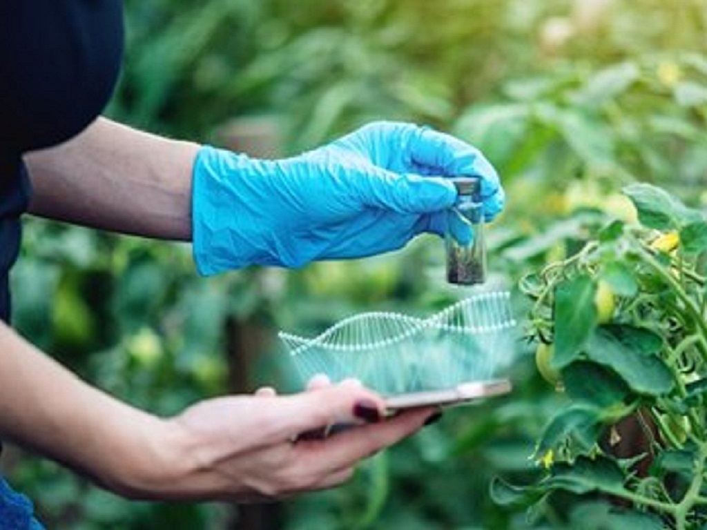 Ogm: Cia, bene apertura Ue a genome editing indispensabile per transizione green